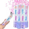 Grupo Carnavallia 4 Mini Bazuca Rosa Revelación Género Bebé Shower