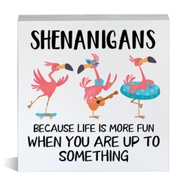 Funny Flamingo Gift Flamingo Lovers Sign Shenanigans Because Life Is More Fun Wooden Box Sign for Home Shelf Tabletop Decor 5 X 5 Inches