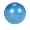 Gymnic Classic Plus Burst-Resistant Exercise Ball, Blue (65 cm)