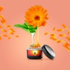 CLEOPATRA Sugar Paste for Oriental Epilation: Tropical - EPIL
