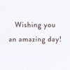 American Greetings Sign Language Birthday Card (Amazing Day)