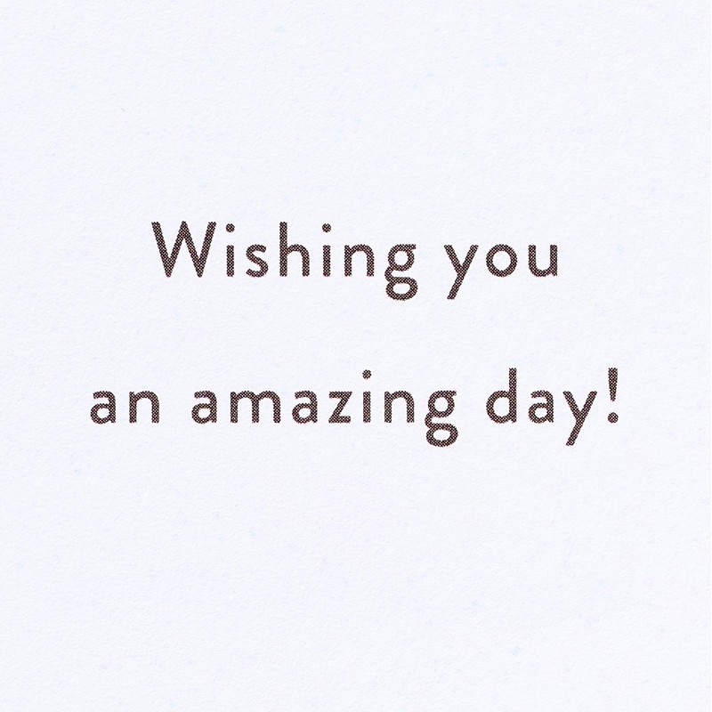 American Greetings Sign Language Birthday Card (Amazing Day)