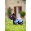 LeMieux Tiny Pony Freya - Soft Brown Coat - Pocket-Friendly