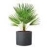 Scheurich Panzano Plastic Planter