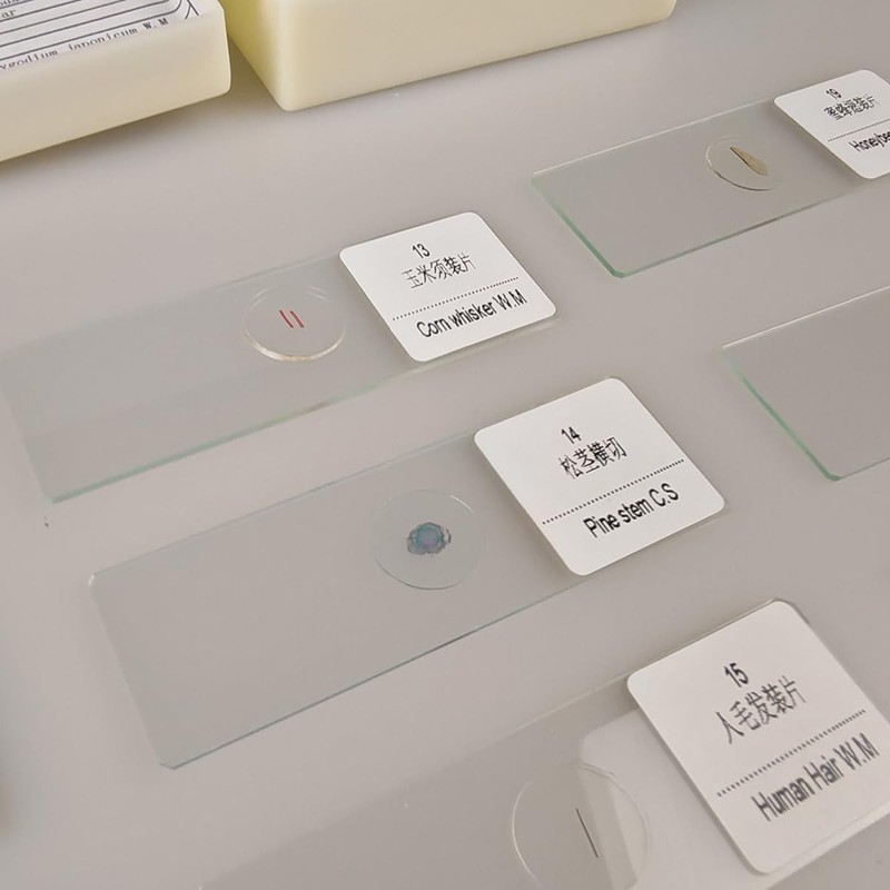 30 Pcs Microscope Slides Prepared Biology Specimen Lab Sample with