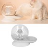 Pet Water Dispenser Snail Shape Automatic Transparent 2.8L Large Capacity