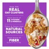 Kellogg's Special K Fruit and Yogurt Breakfast Cereal, Good Source