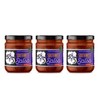 505 Southwestern Craft Salsa 15 Ounce Glass Jars (Pack of