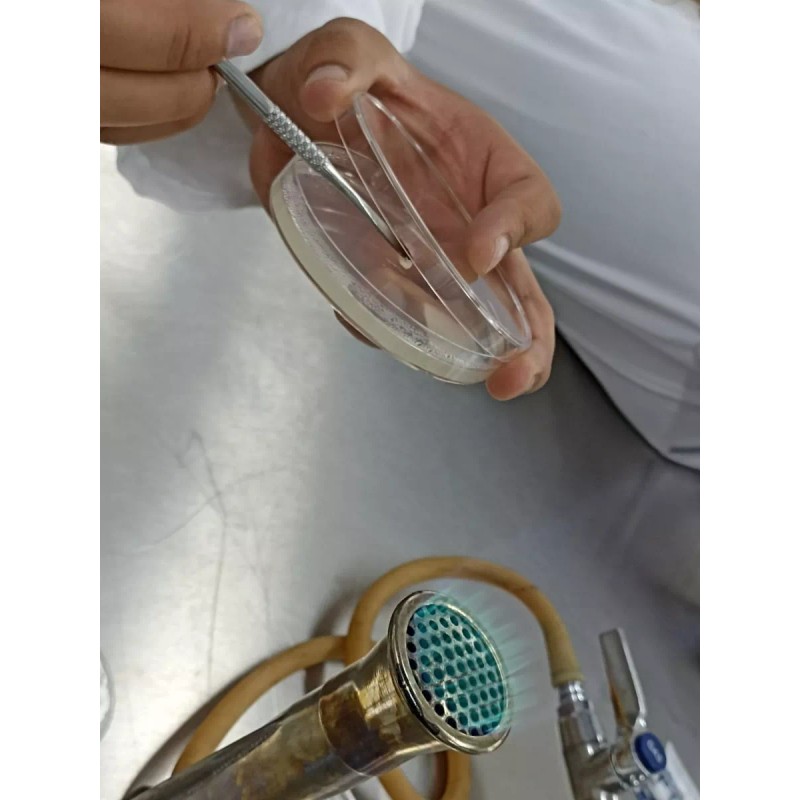 Aac Biolab Caja Petri Estéril Plástico 60x15 Mm (caja 400