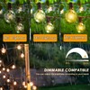 SerBion 40 Watt Light Bulbs E12 Candelabra Base 120Volt Round