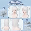 PEACOCO Men's Short Wig, Wig, Masculine Costume, Blonde Wig, Wolf,