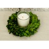 Preserved Boxwood Wreath