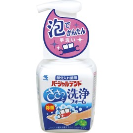 パーシャルデント 洗浄フォーム 部分入れ歯用 泡 入れ歯洗浄剤 ミントの香り 除菌 消臭 ポンプタイプ 250m 小林製薬