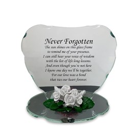 OnlineStreet Beautiful Poem Glass Sign - A Beautiful Plaque - Thoughtful Gift for Any Occasion - Birthday, Mother's Day, Wedding, Christmas etc (Never Forget)