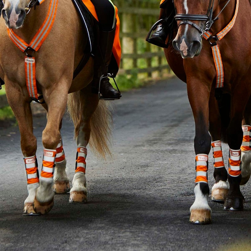 Masta Hi Vis Leg Wraps for Horses | Equestrian High