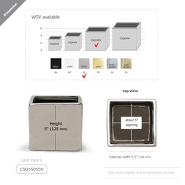 WGV Ceramic Cube Vase Bulk Width 5.5" Height 5" (Fits 5" Pot) Elegant Modern Block Square Floral Planter Terrarium Container Table Dresser for Event Accent Home Office Decor Silver 6 Pieces