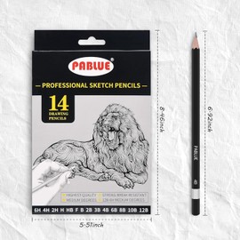 UNJOO Set of 14 Drawing Sketch Painting Art Pencils 6H 4H 2H H HB F B 2B 3B 4B 6B 8B 10B 12B,Perfect for Painting,Sketching,Drawing,Beginner and Professional Artist Pencils