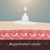 Crema Corporal Extra Hidratante Líquida De Sándalo 1 Galón