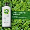 Herbal Essences Acondicionador Detox Té Verde & Menta 600 ml