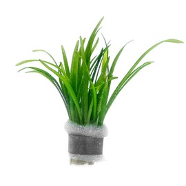 SubstrateSource Micranthemum Monte Carlo Live Aquarium Plant for Freshwater Planted Fish Tanks - Aquatic Potted Plants (1 Pot)