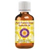 Deve Herbess Pure Frankincense Essential Oil (Boswellia carterii) Steam Distilled