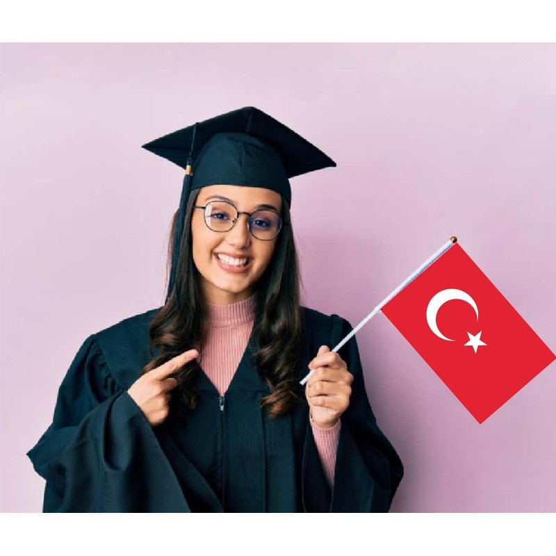 10 PCS Türkiye Handheld Small Flag, Turks Hand held Mini
