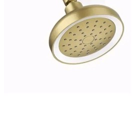 Kohler Shower Head Led Lighted Wall Mount Fixed Single-Functio