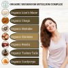 2nd Springs Organic Mushroom Complex - 7 Mushroom Blend Immune