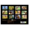 Malinois Magic: The Belgian Powerhouse (Monthly Wall Calendar 2026 11.7"