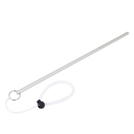 VGEBY Scuba Diving Stick, Diving Pointer Rod Underwater Lobster Stick with Landyard Scuba Diving Stick Pointer Rod 35cm/13.77'' (Silver)