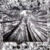 Bgraamiens Puzzle-Forest in Black and White-1000 Pieces Creative Black and