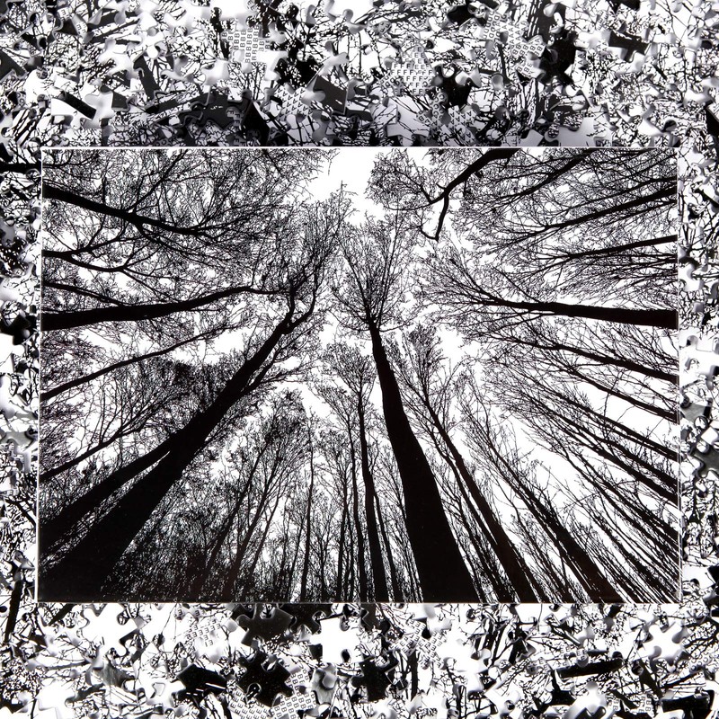 Bgraamiens Puzzle-Forest in Black and White-1000 Pieces Creative Black and