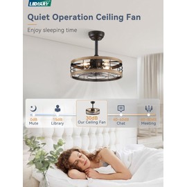 LEDIARY 18 inch Black Caged Ceiling Fan with Light, Bladeless Industrial Ceiling Fan with Remote, Farmhouse Fan Lights Ceiling Fixtures for Kitchen, Bedroom, Outdoor（6 Speed, Timing）-Brown