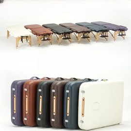 Foldable/Massage/Beauty Salons/Skin Care/Home Use/Portable