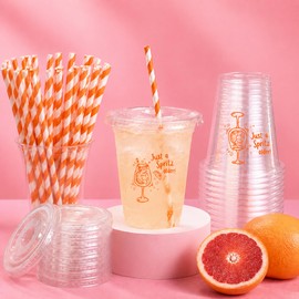 48 Pack Just a Spritz Older Disposable Plastic 12oz Cups with Paper Straws Cocktail Cup with Lids for Cocktail Birthday Party Supplies Pool Summer Beach Themed Decorations
