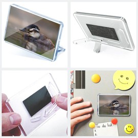 Classic Rectangle Magnet with Stand - White Headed Duck Nature Wildlife - Fridge Locker Office Whiteboard Toolbox #53560