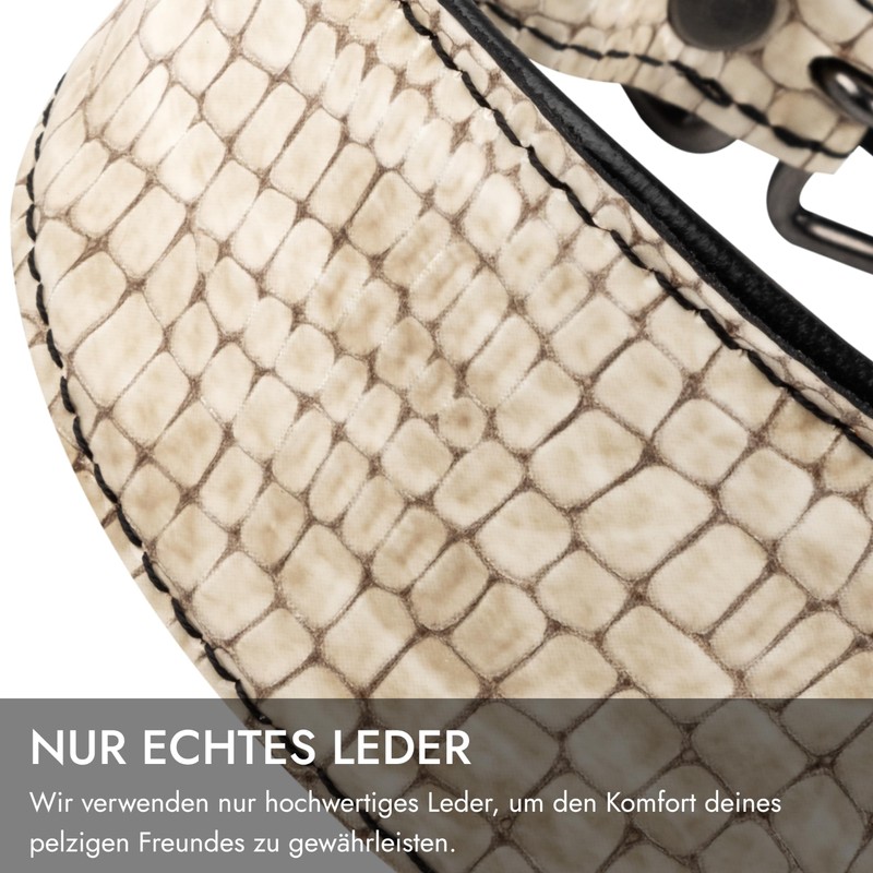 FAVPET Luxury Genuine Leather Greyhound Collar Wide with QR Code