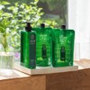 Titan [Titan] Lemon Balm Root Volume Shampoo Refill