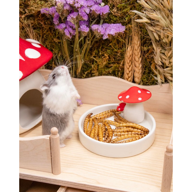 Niteangel Small Animal Snack & Treats - Small Critter Natural