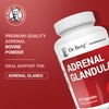 Dr. Berg Adrenal Glandular - Hormone Balance Formula That Supports