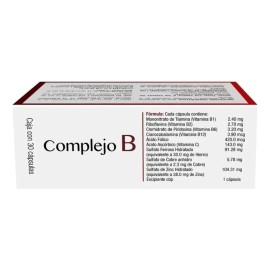 Progela Complejo B Vitaminas Y Minerales 30 Cap                                                                                                       