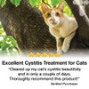 Cystassist, Feline Urinary Tract Supplement, Support for Cats of All