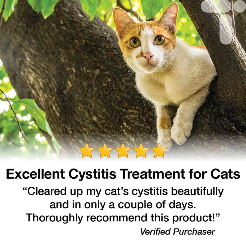 Cystassist, Feline Urinary Tract Supplement, Support for Cats of All