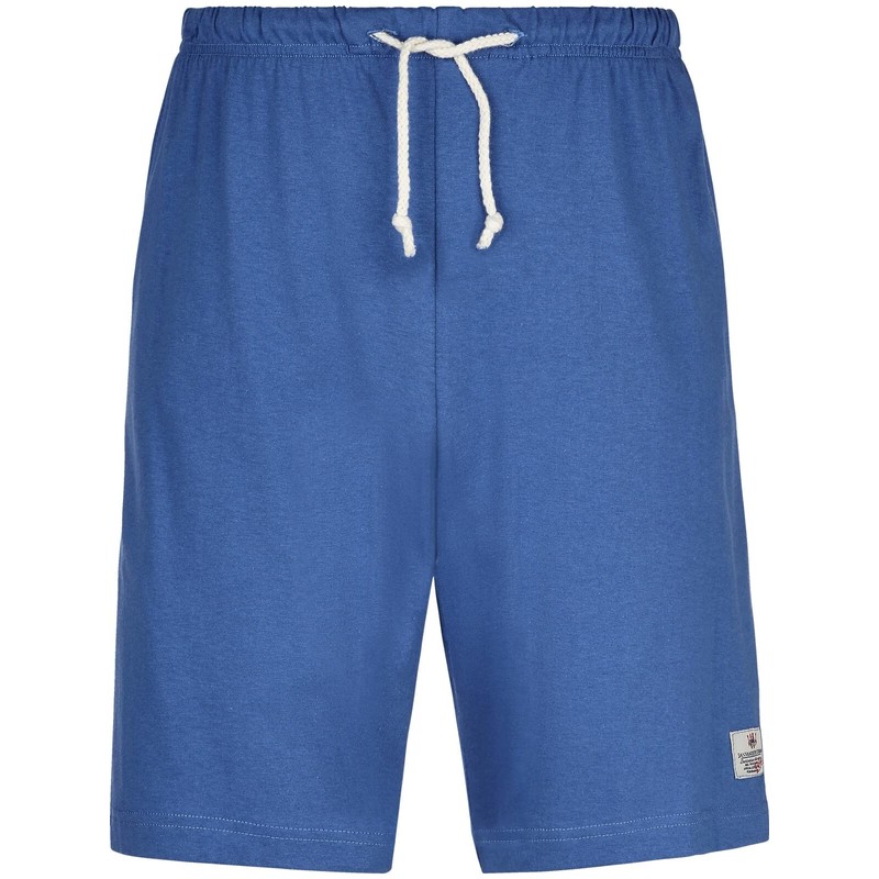 Jan Vanderstorm Charle Men's Sleep Shorts (Pack of 2), blue