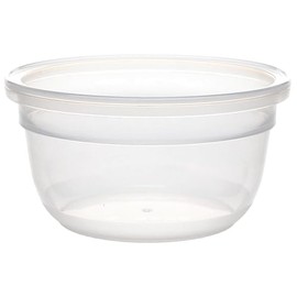 Snapware 7202R-PFS 1.2-Cup Total Solutions Plastic Food Storage Container - Made in USA