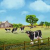(Cows) - AN4301 12PCS 1:43 Farm Animals Cows O Scale