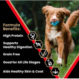 VICTOR Super Premium Dog Food – High Protein Grain Free Active Dog & Puppy Kibble – Dry Food with 33% Protein, Gluten-Free - Premium Beef, Pork, Fish Meals for High Energy Dogs, 30lbs