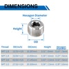 LifCratms 3/8" NPT Male Plug, 304 Stainless Steel Internal Hex