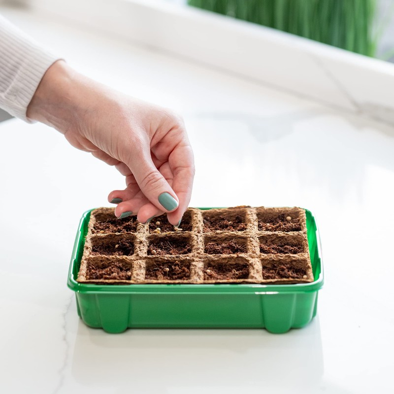 Back to the Roots 12-Cell Greenhouse Germination Kit | includes
