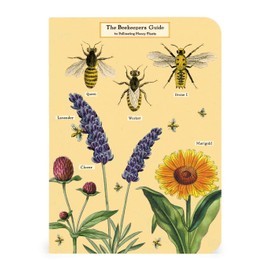 Bees & Honey Mini Notebooks